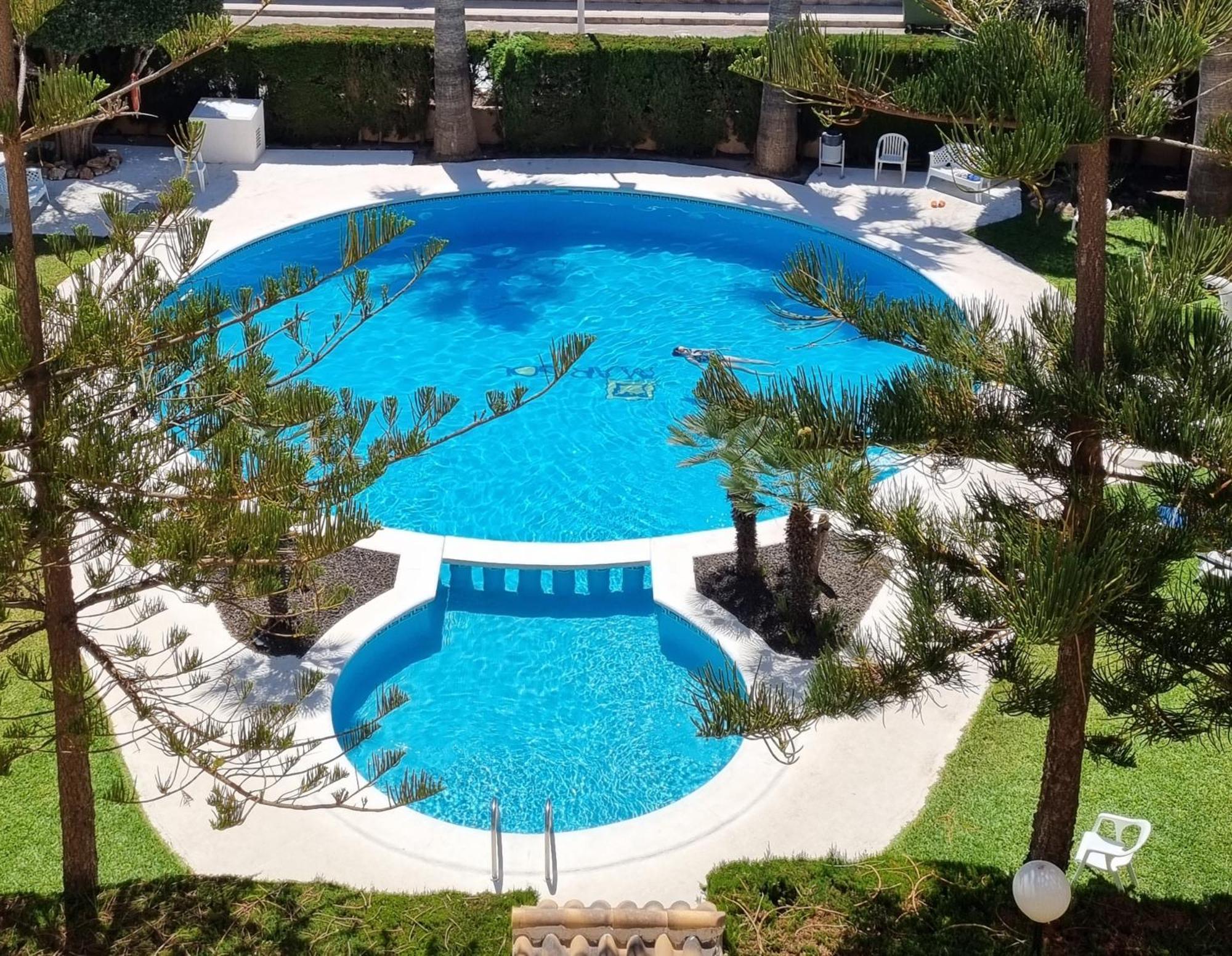 Daire Flamenco Penthouse Sea View & Swimming Pool Torrevieja